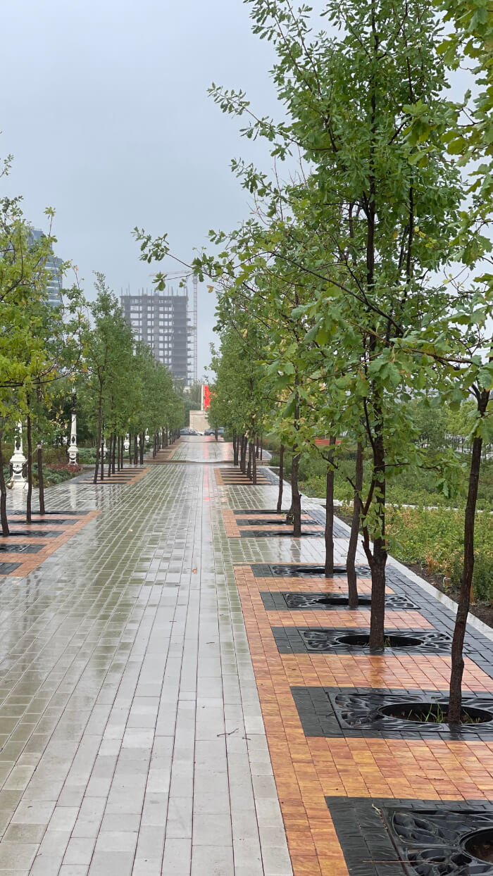 Приствольная решетка для дерева ZKING CRUST 1.2х1.2м Черная в Валдае фото