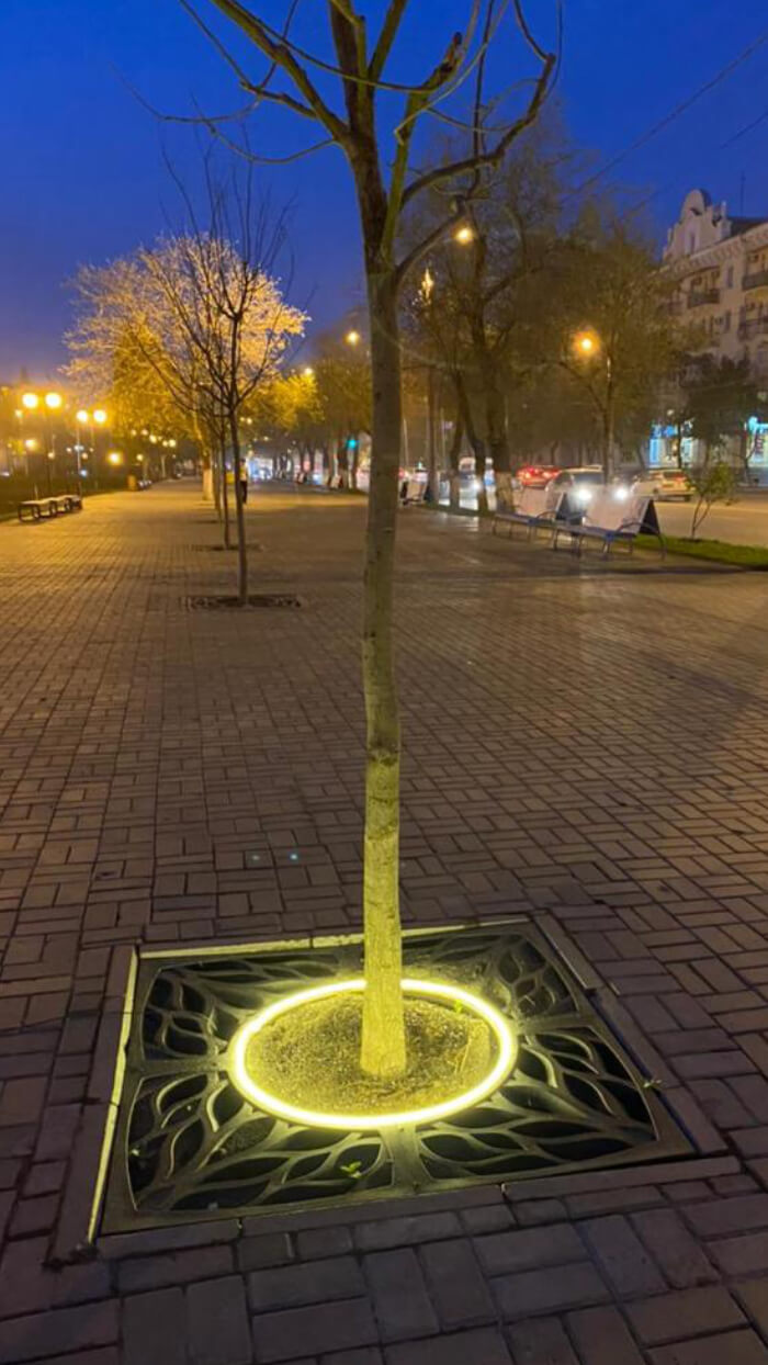 Приствольная решетка для дерева ZKING CRUST 1.2х1.2м Черная в Валдае фото